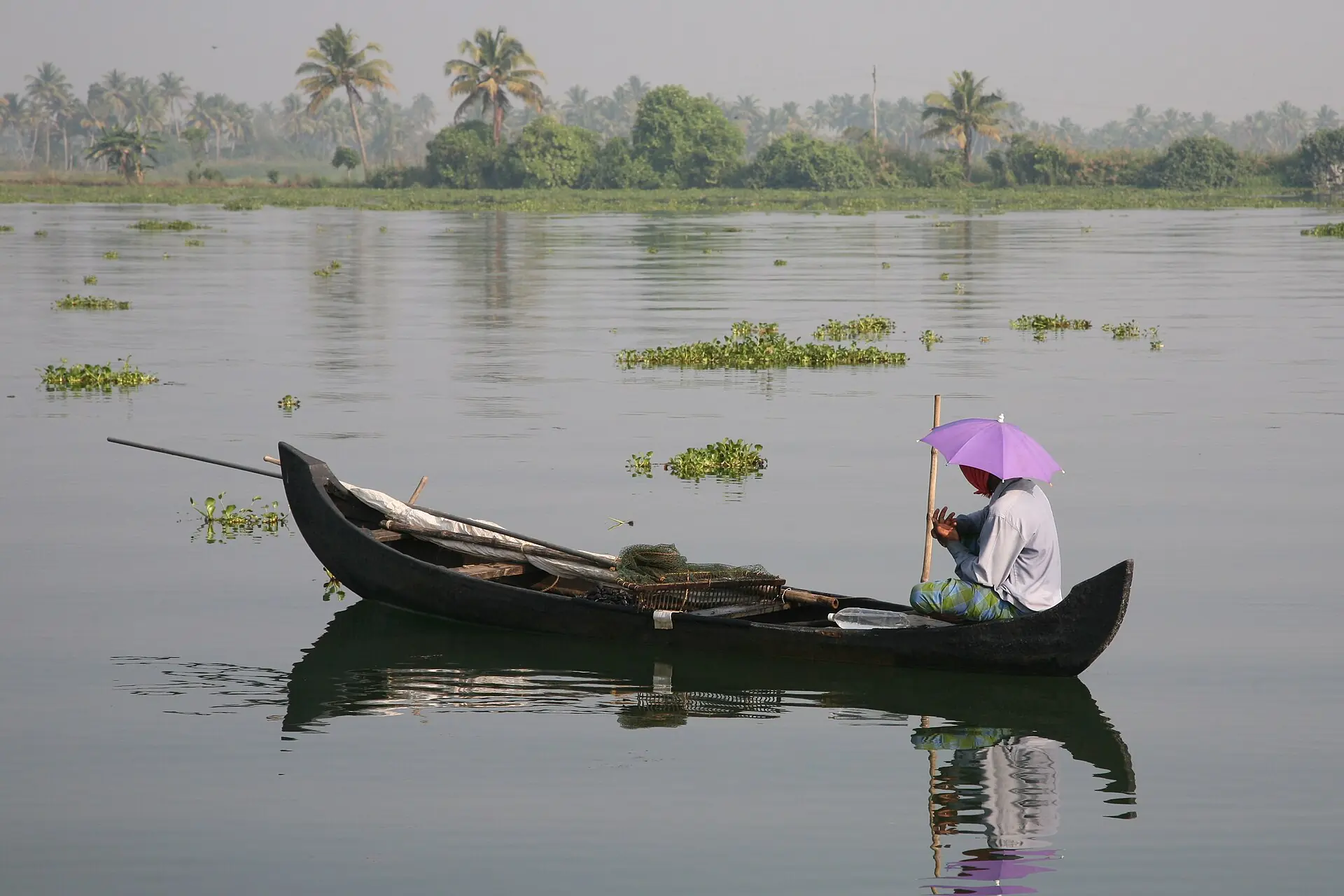 A person in a canoe holding an umbrella on the Kerala backwaters
