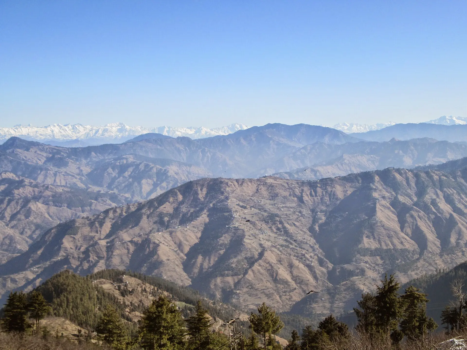 Forested hills and distant Himalayan ranges seen from Kufri near Shimla